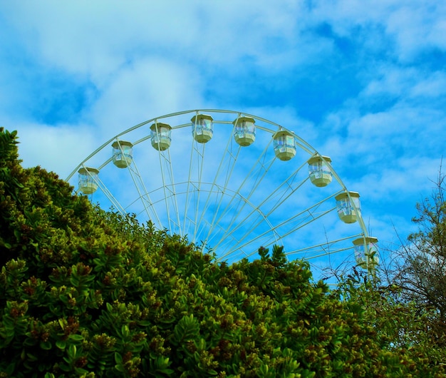 Foto ruota panoramica a eastbourne