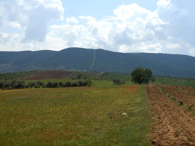 Foto viste della montagna verde e del cielo blu