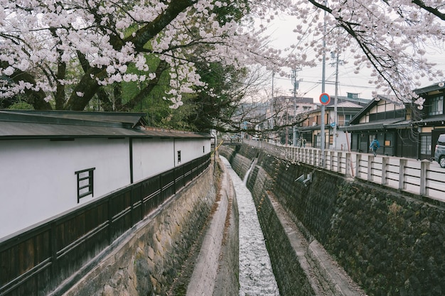 Foto visita del ponte kajibashi vicino al mercato mattutino di miyagawa a takayama in giappone