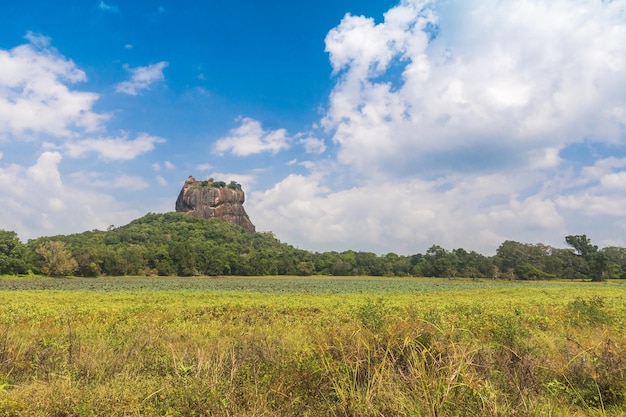 Скальная крепость Сигирия в Дамбулле, Шри-Ланка