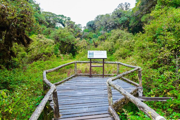 Sign in Ang Ka Luang Nature Trail