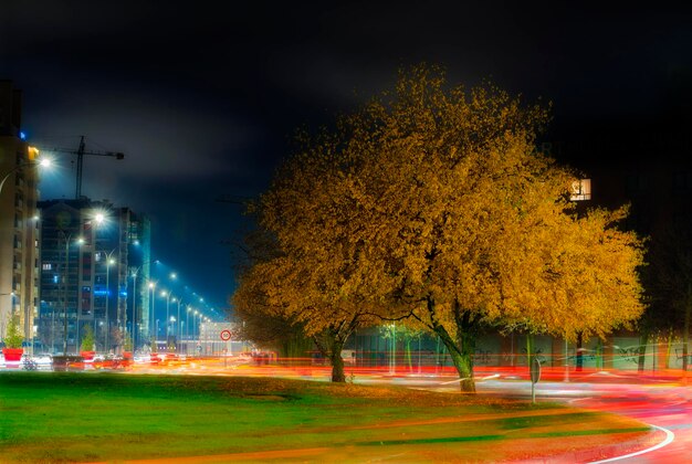 A sign for the city of glasgow is lit up at night.