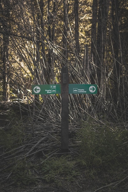 Foto segno sul campo dagli alberi nella foresta