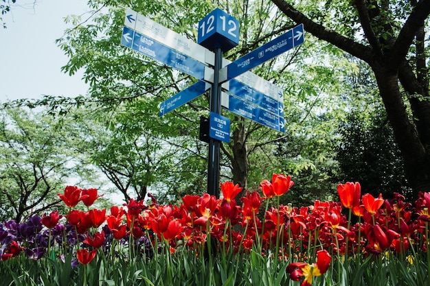 A sign in a garden