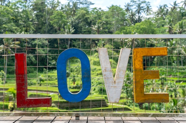 배경에 있는 논 테라스 근처에 있는 사랑에 서명하십시오. 인도네시아 발리 섬을 닫습니다.