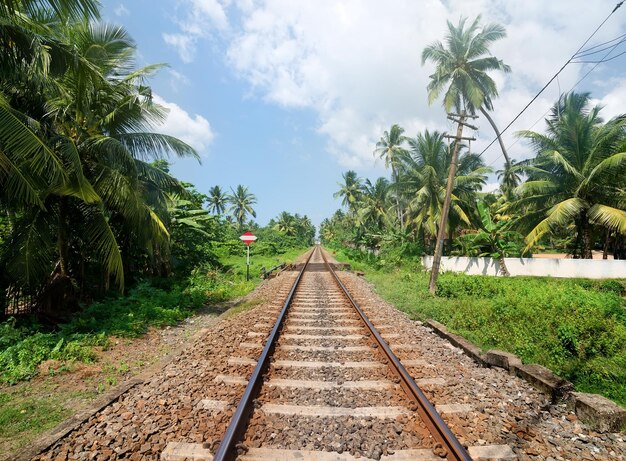 Sign near railroad in jungles of Sri Lanka