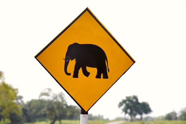 sign on the road in Sri Lanka