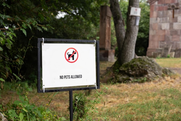 Photo a sign on a rock in the woods no dogs allowed