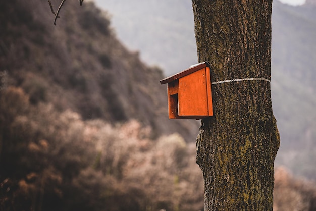 sign on the tree, bird house