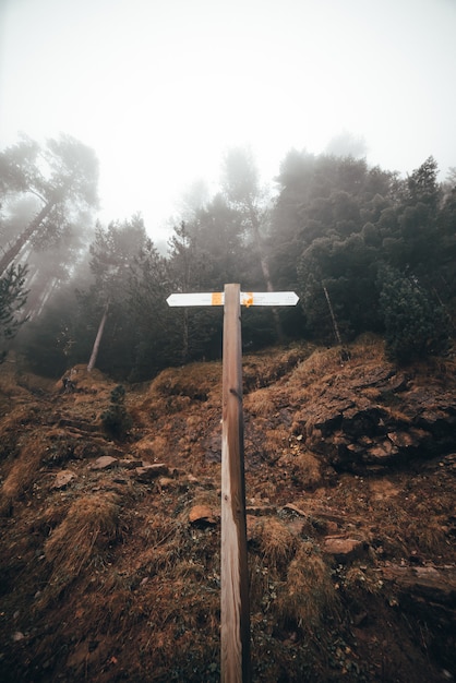 Signboard in an autumn forest