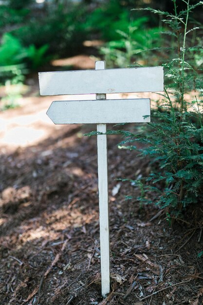 Photo signboard on ground in forest