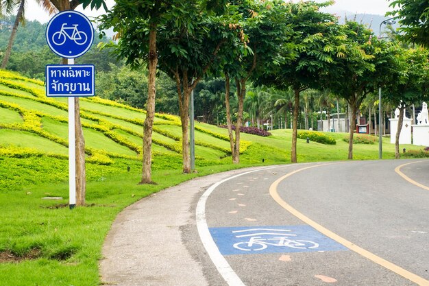 Signboard and trees by road