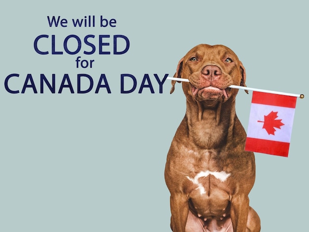 Signboard We will be closed for Canada Day