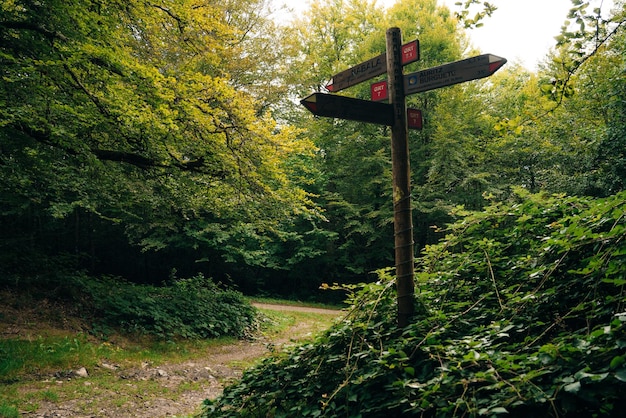 Photo signpost in the pyrenees on the way to santiago spain