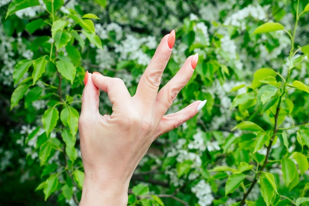 Signs of yoga beautiful girl against the background of flowering trees