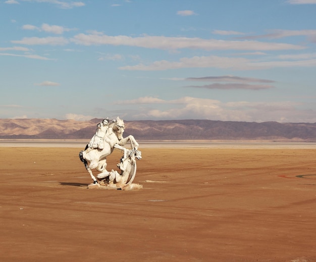 Foto il silenzio del deserto