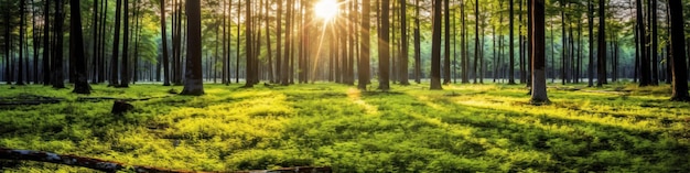 Silent Forest in het voorjaar met prachtige felle zonnestralen Generatieve AI