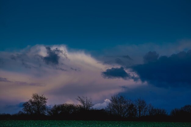 Foto silhouet bomen op het veld tegen de hemel bij zonsondergang