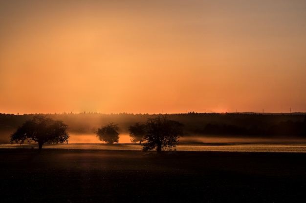 Foto silhouet bomen op het veld tegen de hemel tijdens zonsondergang