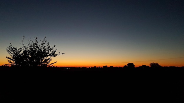 Foto silhouet bomen op het veld tegen een heldere lucht