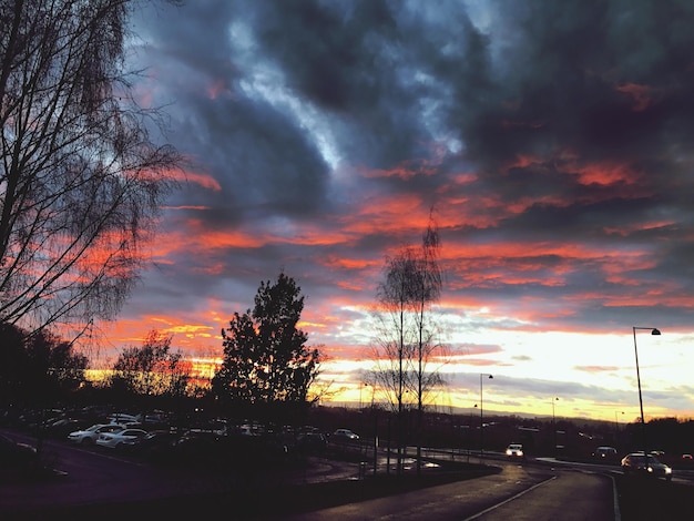 Foto silhouet bomen tegen de hemel tijdens zonsondergang