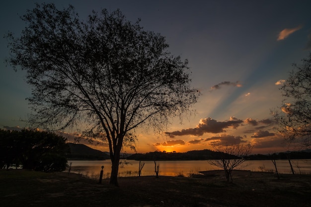 Foto silhouet boom bij het meer tegen de hemel bij zonsondergang