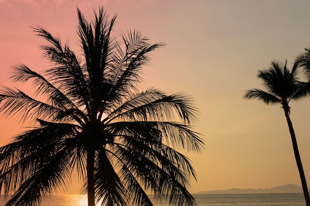 Silhouet kokospalm op zee en avondrood achtergrond