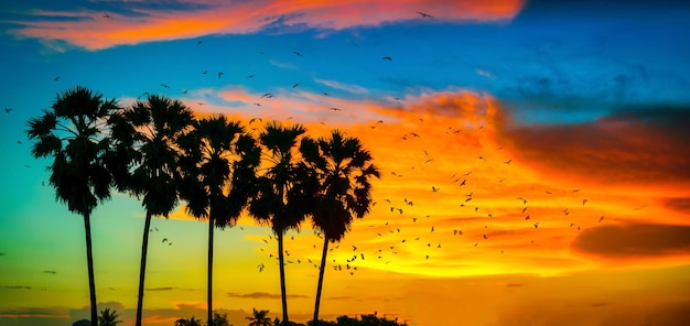 Silhouet kokospalmen en vogels op het strand bij zonsondergang. Vintage toon.