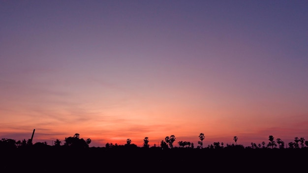 Foto silhouet landschap tegen een heldere lucht bij zonsondergang