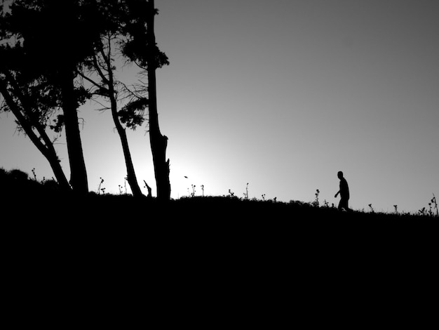 Silhouet man die op het veld loopt tegen een heldere hemel
