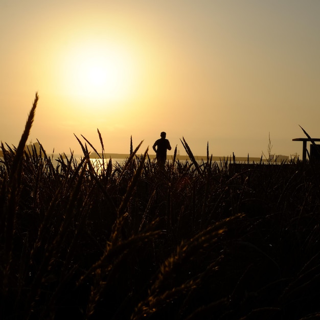 Foto silhouet man loopt op het veld tegen de hemel tijdens zonsondergang