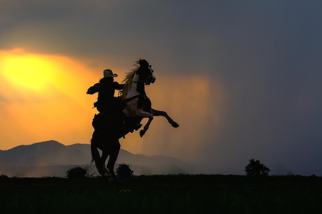 Silhouet man op een paard op het veld tegen de hemel tijdens de zonsondergang