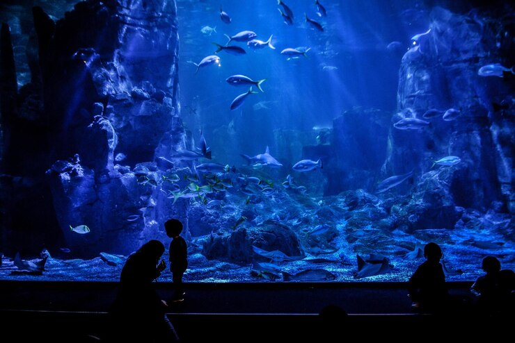 Foto silhouet man zwemmen in aquarium