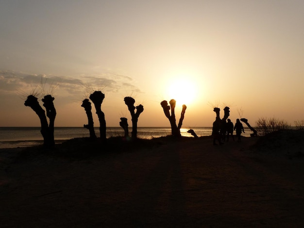 Foto silhouet mensen op het strand tegen de hemel tijdens de zonsondergang
