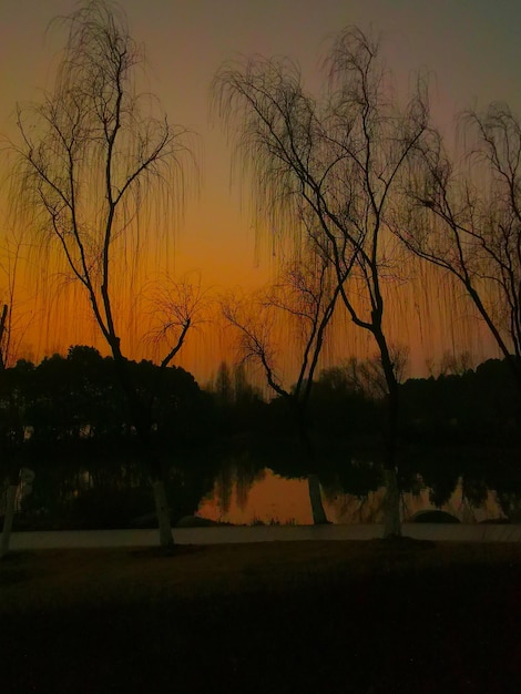 Foto silhouet naakte bomen bij het meer tegen de hemel bij zonsondergang