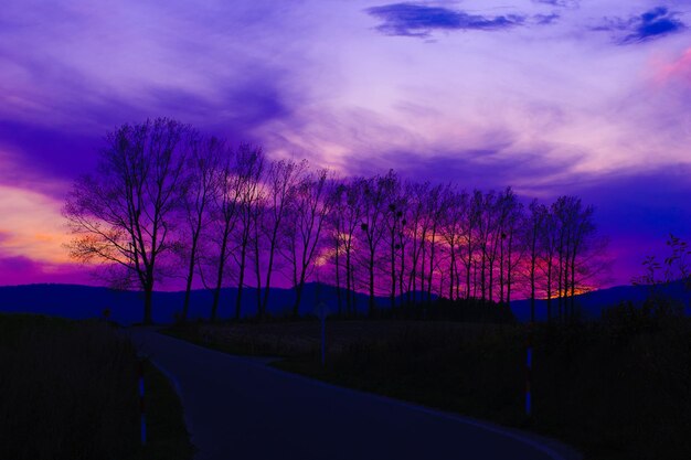 Foto silhouet naakte bomen op de weg tegen de hemel bij zonsondergang