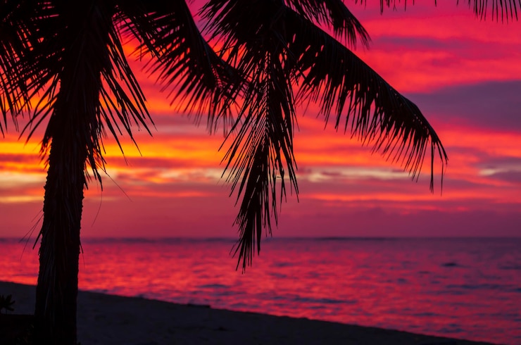 Foto silhouet palmboom bij de zee tegen de romantische hemel bij zonsondergang