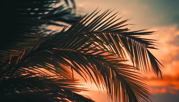 Silhouet palmboom terug verlicht door zonsondergang tropische vakanties schoonheid gegenereerd door kunstmatige intelligentie