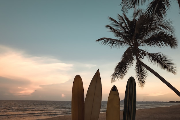 Silhouet surfplank op tropisch strand bij zonsondergang in de zomer. Zeegezicht bij zonsondergang.