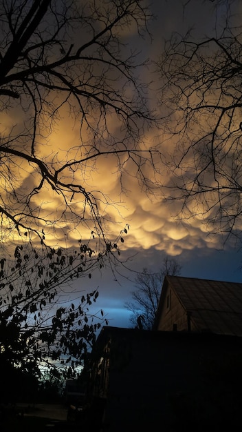 Foto silhouet takken tegen bewolkte lucht bij zonsondergang