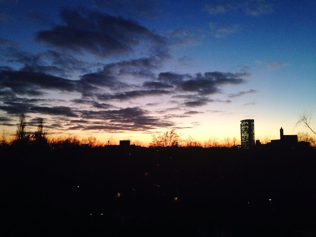 Silhouet van bomen bij zonsondergang