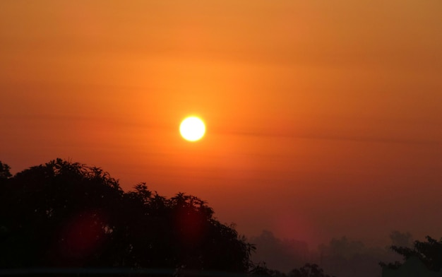 Silhouet van bomen bij zonsondergang