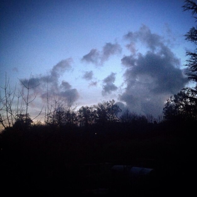 Foto silhouet van bomen tegen de lucht