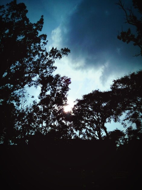 Foto silhouet van bomen tegen een bewolkte hemel