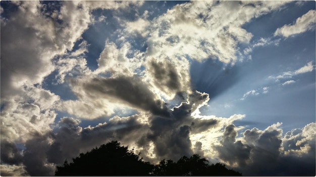 Foto silhouet van bomen tegen een bewolkte lucht