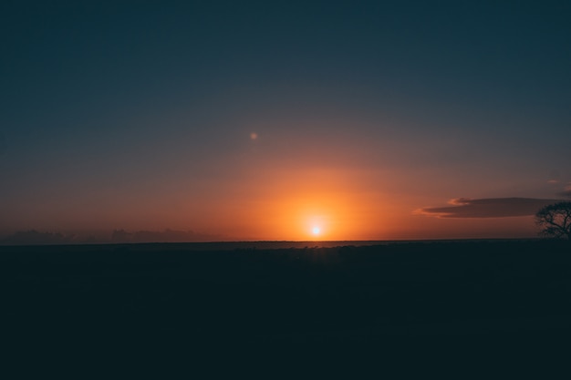 silhouet van de boom met ongelooflijke zonsondergang