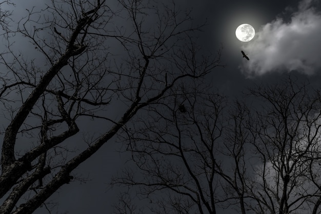 Silhouet van droge boom in de nacht met volle maan in de duisternis hemel.