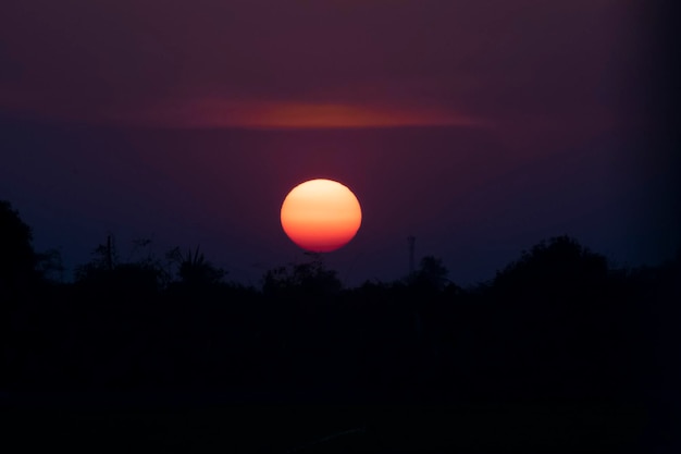 Silhouet van een boomlandschap tegen een zonsonderganghemel Dawn sunset