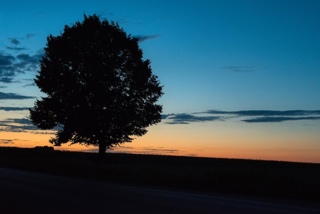 Silhouet van een eenzame boom in een veld tijdens zonsondergang