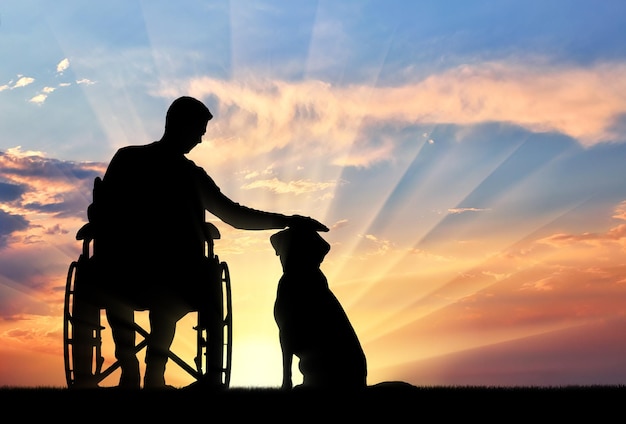 Silhouet van een gehandicapte man in een rolstoel die zijn hond aait op de achtergrond van een zonsondergang. Het concept van de manier van leven van mensen met een handicap